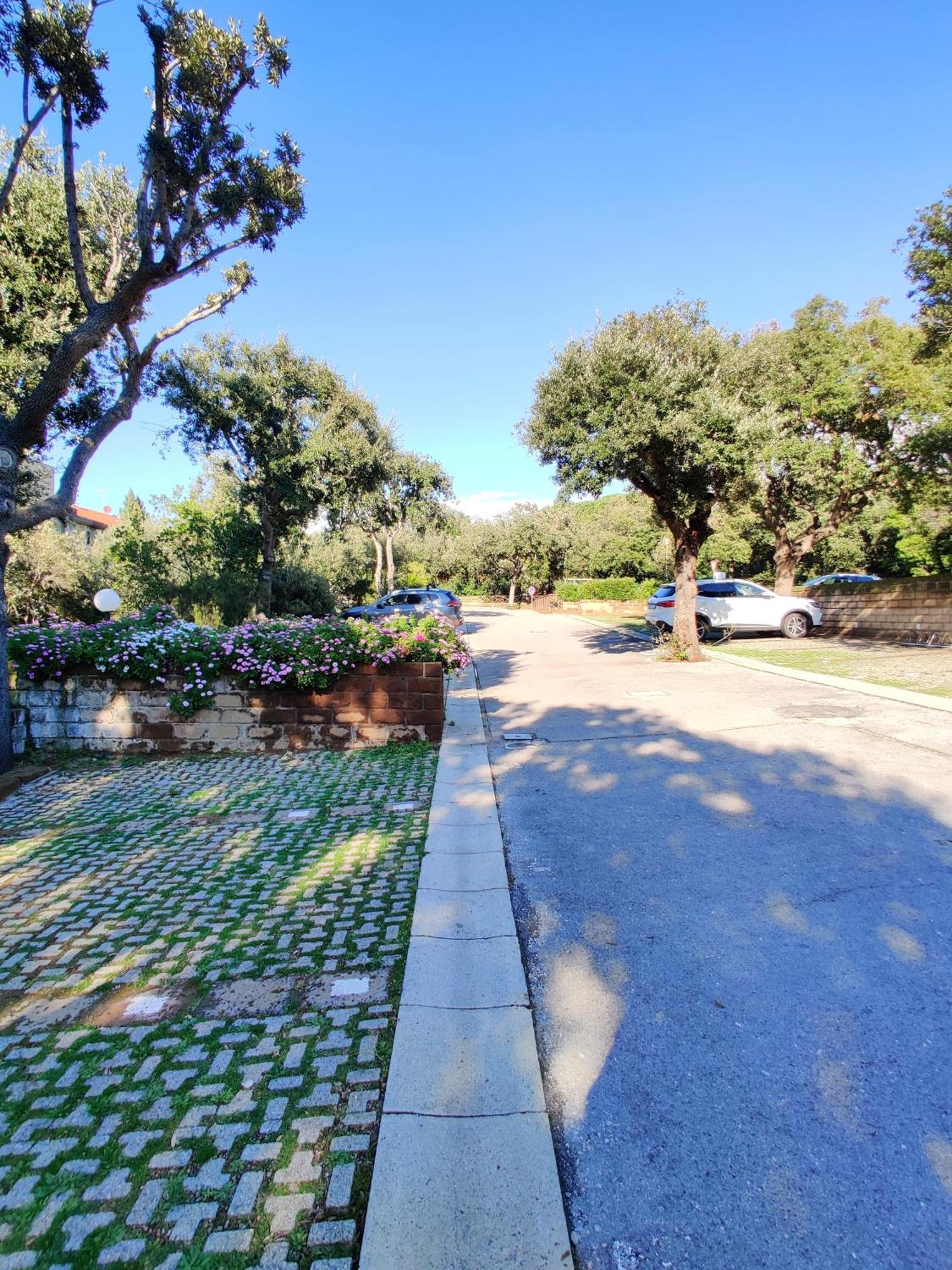 Apartment Holiday Homes Marina