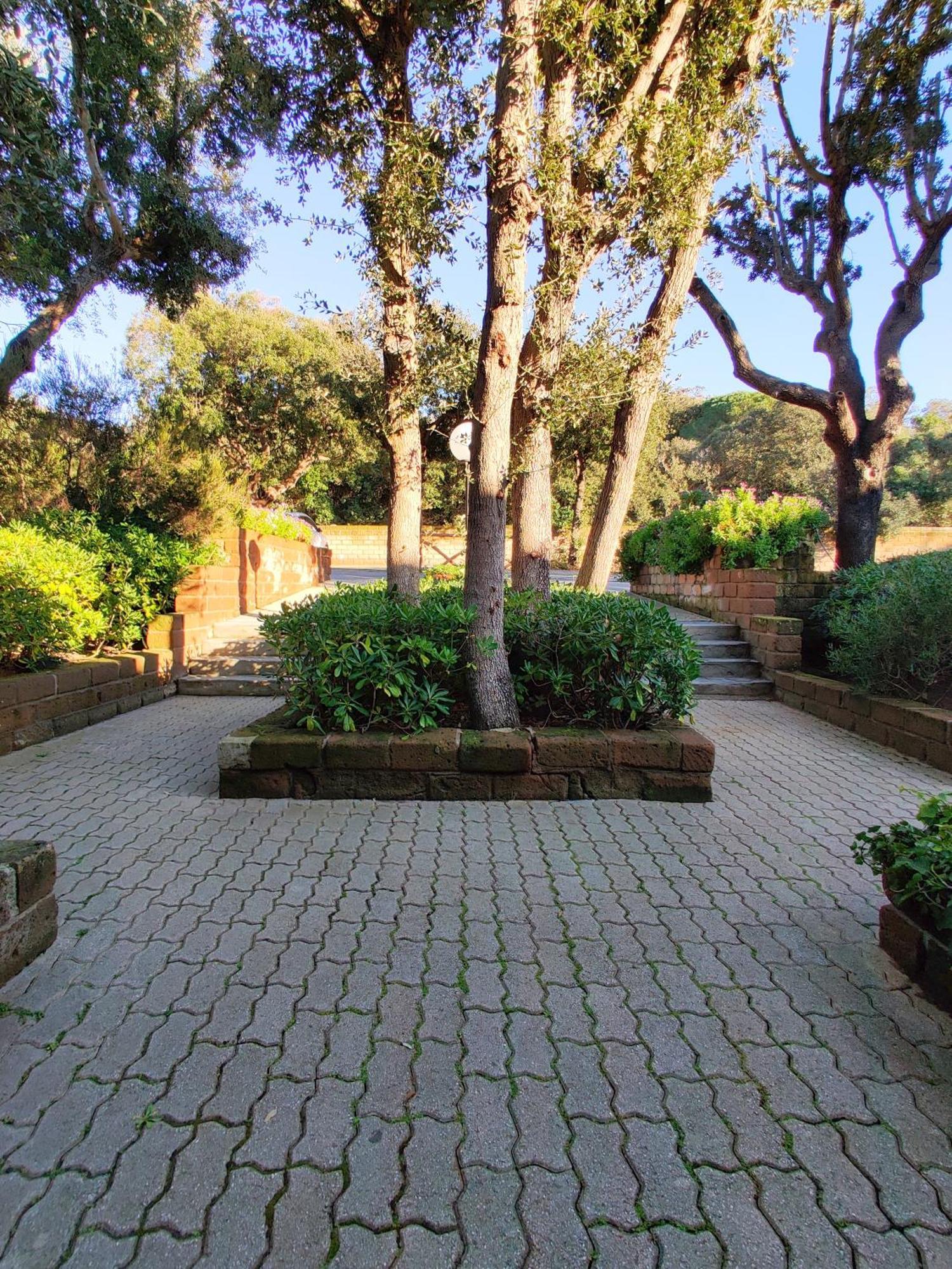 Apartment Holiday Homes Marina *